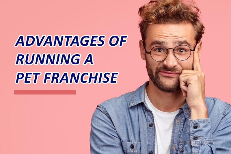Advantages of Running a Pet Franchise