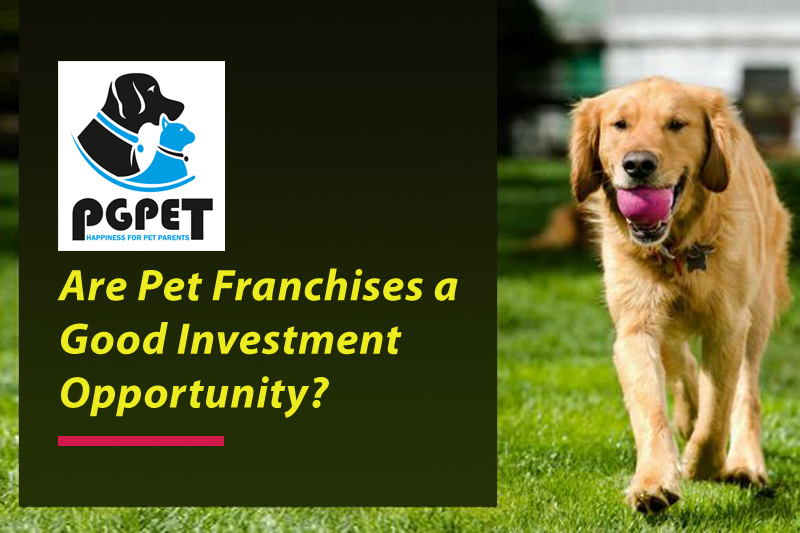  Are Pet Franchises a Good Investment Opportunity?